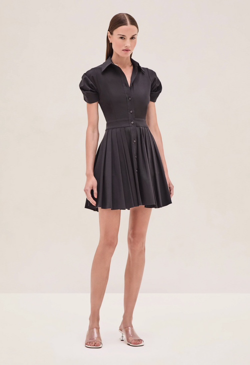 Alexis April Dress
